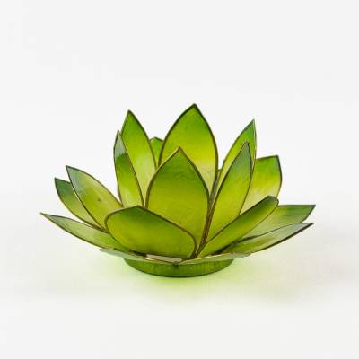 Hellmann Versand Lotusblüte 9 Grün – Teelichthalter für Hoffnung und Wachstum - 0